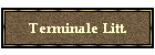 Terminale Litt.