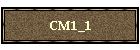 CM1_1