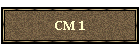 CM 1